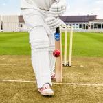 FORTRESS Technique Cricket Bat [3 Sizes] | Hand-Eye Coordination – Batting Practice Drills (Short Handle)