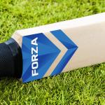 FORTRESS Technique Cricket Bat [3 Sizes] | Hand-Eye Coordination – Batting Practice Drills (Short Handle)