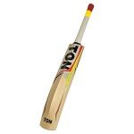 SS Ton Kashmir Willow Cricket Bat - Maximus Model