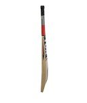 SS Ton Kashmir Willow Cricket Bat - Maximus Model