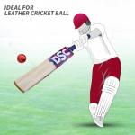 DSC Intense Force Kashmir Willow Cricket Bat for Leather Ball |Size-4 | Light Weight | Free Cover|