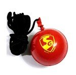 SG Synthetic I Cricket Hanging Ball for Practice