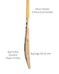 Titan English Willow Divine Cricket Bat – Full Size Short Handle – Lightweight & Handcrafted for Power and Control – Ideal for Club & League Play - Free Hard Leather Ball (Gold- English Willow 1)