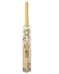 Titan English Willow Divine Cricket Bat – Full Size Short Handle – Lightweight & Handcrafted for Power and Control – Ideal for Club & League Play - Free Hard Leather Ball (Gold- English Willow 1)