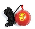 SG Synthetic I Cricket Hanging Ball for Practice