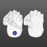 FORTRESS Original Cricket Wicket Keeper Gloves (Youth (8.3in))