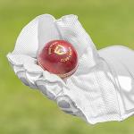 FORTRESS Original Cricket Wicket Keeper Gloves (Youth (8.3in))