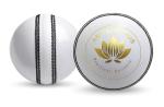 AN-Prime Hub Premium Hand-Stitched Leather Cricket Ball | Premium Quality | Reinforced Hand-Stitched Seam | Reliable Bounce and Performance