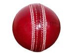 Hat Shark Alum Tanned Leather Stitched Cricket Ball - Tournament Quality Red and Gold