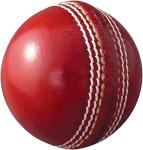 Hat Shark Alum Tanned Leather Stitched Cricket Ball - Tournament Quality Red and Gold