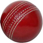 Hat Shark Alum Tanned Leather Stitched Cricket Ball - Tournament Quality Red and Gold