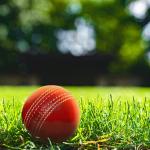 Hat Shark Alum Tanned Leather Stitched Cricket Ball - Tournament Quality Red and Gold