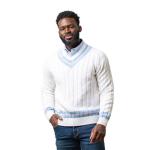 Hope & Henry Men's Men's Organic V-Neck Cricket Sweater, Medium, White with Blue and Pink