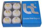 BT Premium White Cricket Ball - Pack of 6 Genuine Leather Cricket Balls for Day or Night International Standard Cricket and Practice | Bat-Friendly Hard Cricket Ball | 156g