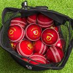 FORTRESS Cricket Ball Bag | Cricket Carry Bag For Ball Storage | Holds & Transports Up to 36 Balls