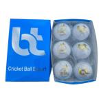 BT Premium White Cricket Ball - Pack of 6 Genuine Leather Cricket Balls for Day or Night International Standard Cricket and Practice | Bat-Friendly Hard Cricket Ball | 156g