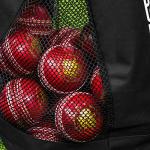 FORTRESS Cricket Ball Bag | Cricket Carry Bag For Ball Storage | Holds & Transports Up to 36 Balls