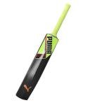 PUMA Mens FUTURE PB 1.1 PVC Cricket Bat, SNR (5437301)