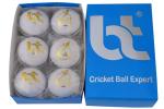 BT Premium White Cricket Ball - Pack of 6 Genuine Leather Cricket Balls for Day or Night International Standard Cricket and Practice | Bat-Friendly Hard Cricket Ball | 156g
