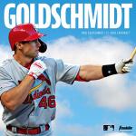 Franklin Sports Digitek Batting Glove Pair - White/White - Adult X-Large