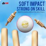 FitBox Sports Professional Ball Pack of 6 Cricket Balls | Wind Ball 130gm for Indoor & Outdoor - White/Black
