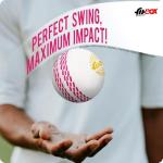 FitBox Sports Professional Ball Pack of 6 Cricket Balls | Wind Ball 130gm for Indoor & Outdoor - White/Black