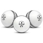 Victory T-20 Synthetic Cricket Ball for Tournament, Street Match - Wind Ball (White)