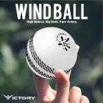 Victory T-20 Synthetic Cricket Ball for Tournament, Street Match - Wind Ball (White)