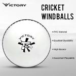 Victory T-20 Synthetic Cricket Ball for Tournament, Street Match - Wind Ball (White)