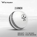 Victory T-20 Synthetic Cricket Ball for Tournament, Street Match - Wind Ball (White)