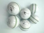 StrykerUSA Premium Leather Cricket Balls, 6 Pack, White, Green Seam, 156g