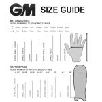 Gunn & Moore GM Aion Cricket Premium Batting Gloves ' Youth Size' (Right Handed)