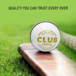 Growmite White Leather Cricket Ball | Hand-Stitched 4-Piece | Premium Alum-Tanned Leather | Waterproof & Durable | Match & Training Grade