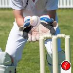 KM SPORTS White Hardball/Leather Cricket Ball - Hand Stitched 4 Piece Construction 156 Grams 35 Over Match Ball Single Piece Set of 3 and 6 (1)