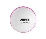 jaspo PVC T-20 Cricket Balls, (White)
