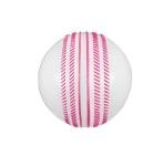 jaspo PVC T-20 Cricket Balls, (White)