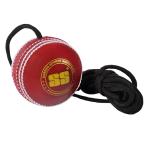 SS Cricket Hanging Ball with Reaction String