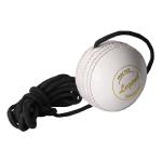 SS Cricket Hanging Ball with Reaction String