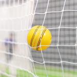 FORZA Fortress Indoor Pro Cricket Balls | Proffesional Grade Yellow Leather for Maximum Visibility - Packs of 1, 6 or 24 (Pack of 6)