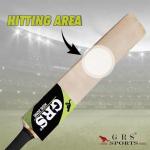 GRS Kids Zone Popular Willow Cricket Bat with Wicket Set & 1 Tennis Ball for Kids (Size 3, Age 6-10 Years) Multicolor