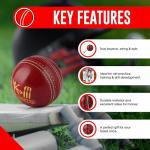 KM SPORTS Red Leather Cricket Ball – 4 Piece Ball – Durable, Handcrafted Ball for Professional & Club Matches – Premium Quality