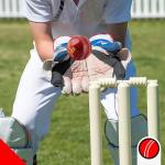 KM SPORTS Red Leather Cricket Ball – 4 Piece Ball – Durable, Handcrafted Ball for Professional & Club Matches – Premium Quality