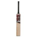SS Tiger Strike 18 English Willow Premium Cricket bat, Adult Size- Short Handle, Includes Bat Cover