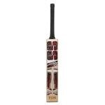 SS Tiger Strike 18 English Willow Premium Cricket bat, Adult Size- Short Handle, Includes Bat Cover