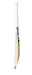 SG KLR Spark Cricket BAT, Multicolour, SH (Kashmir Willow)