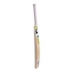 SG Phoenix Xtreme Kashmir Willow Cricket Bat | Colour: Beige | Size: Short Handle | Material: Kashmir Willow | Lightweight | with Free Cover | Ready to Play | for Intermediate Player