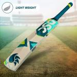 DSC Belter Kashmir Willow Cricket Bat - Short Handle