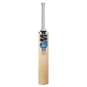 GM Diamond 101 Kashmir Willow Cricket bat, Mens