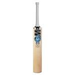 GM Diamond 101 Kashmir Willow Cricket bat, Mens