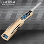 GM Diamond 101 Kashmir Willow Cricket bat, Mens